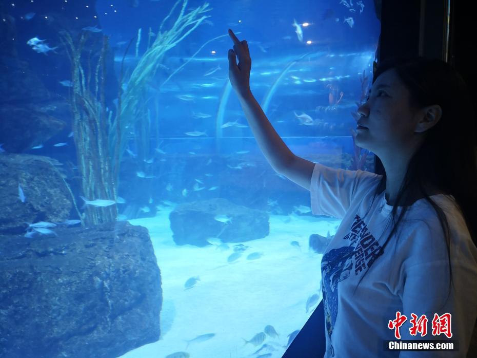 黑人巨大欧美精品黑寡妇