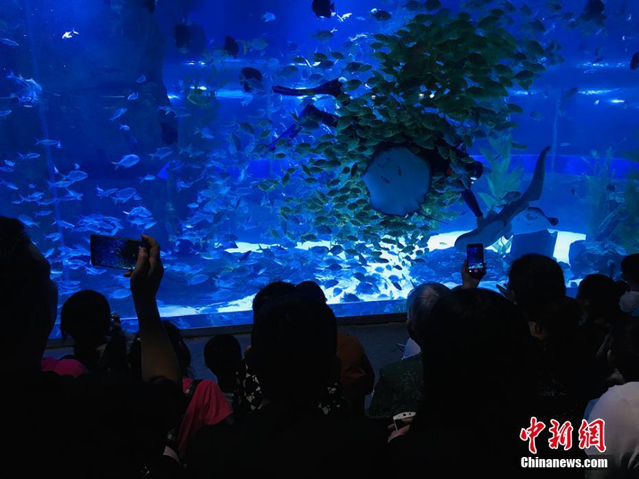 2018年欧美美国三级
