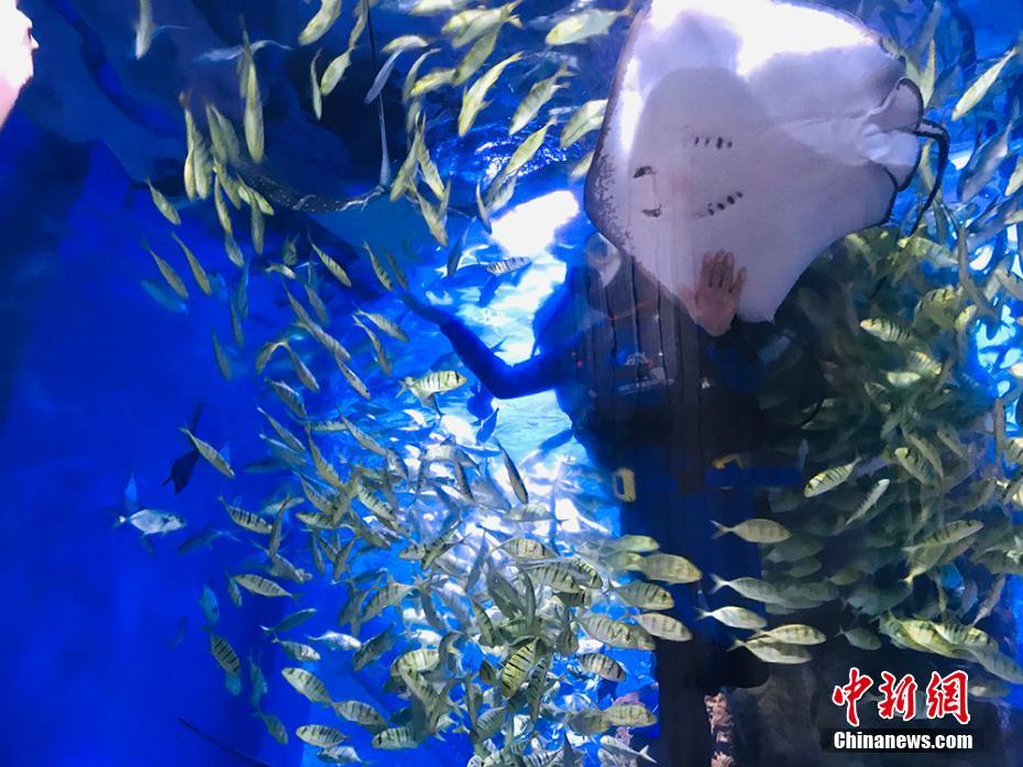 久久久香蕉