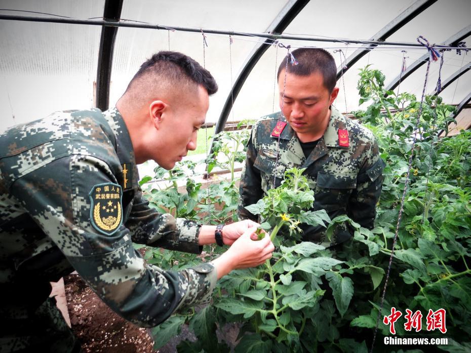 公交车被脱了内裤进入动漫