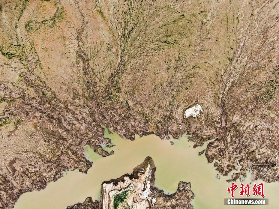 福利电影网