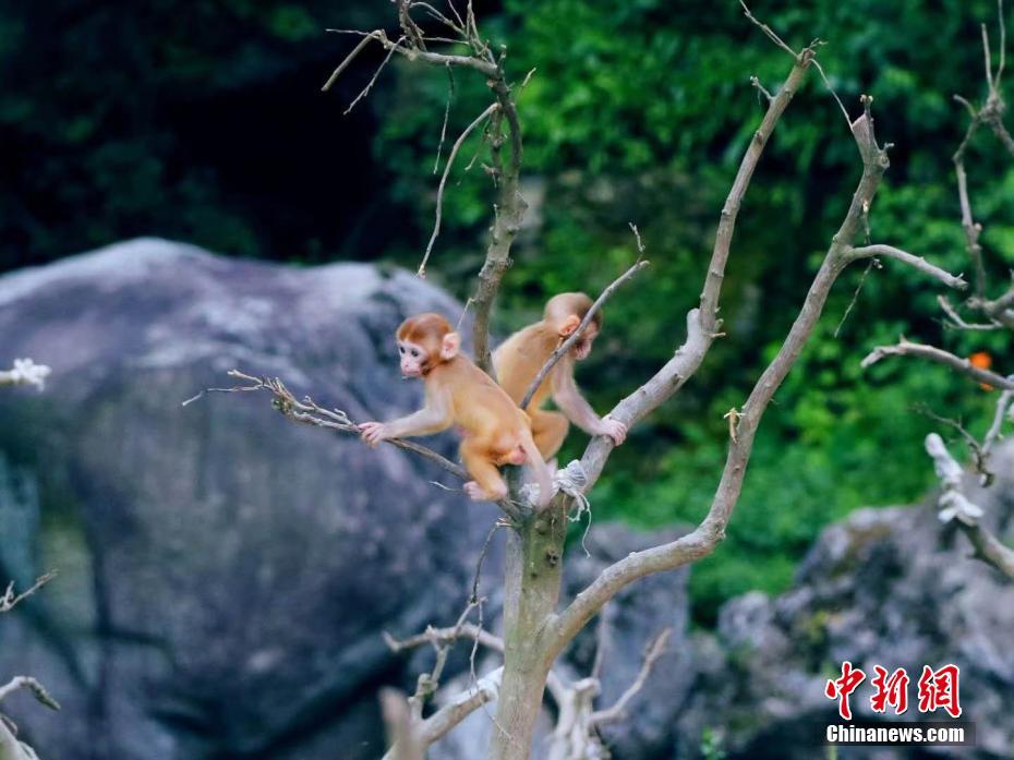 性无码