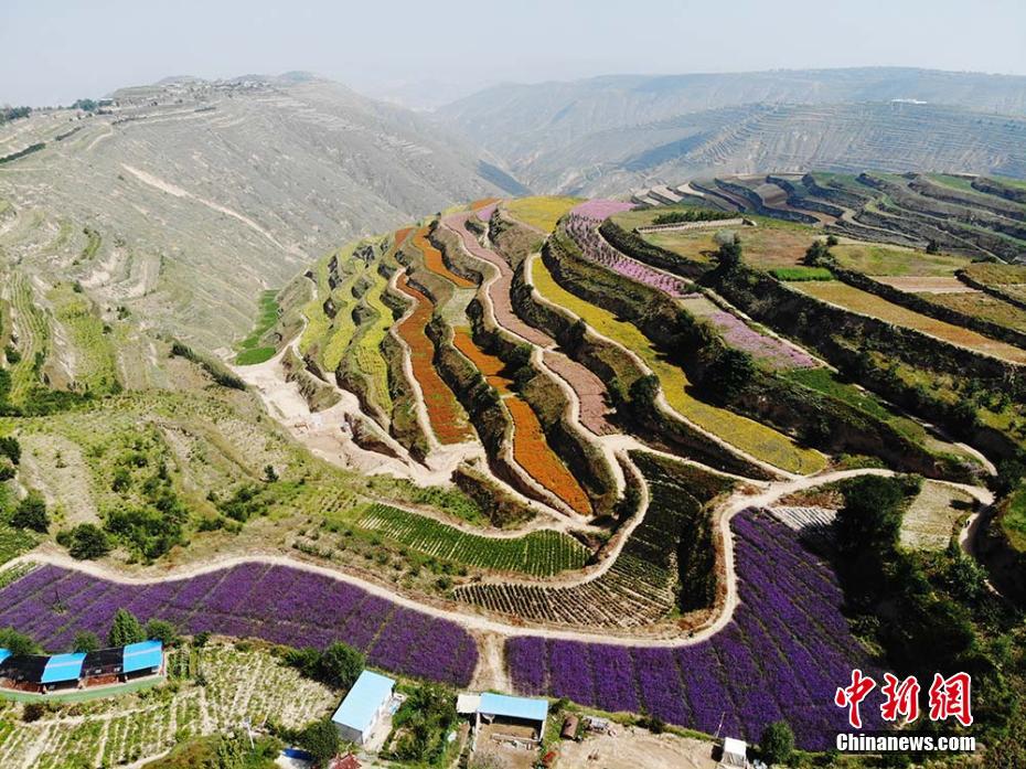 鲁丝片一区二区三区四川人