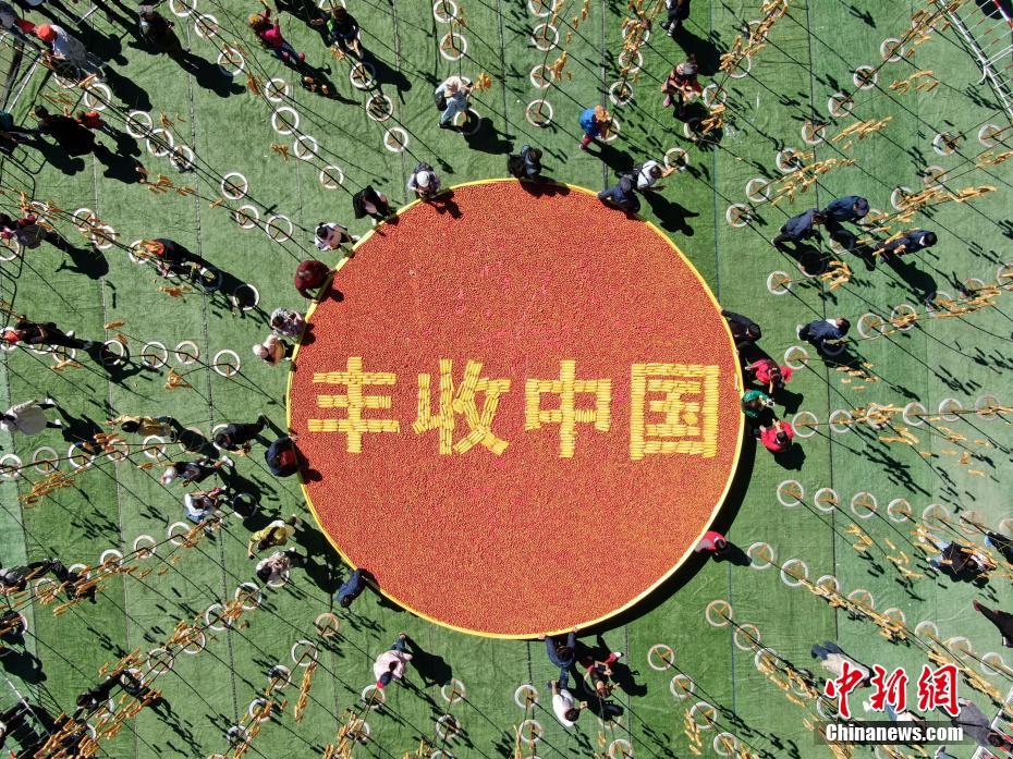 美女一级毛片