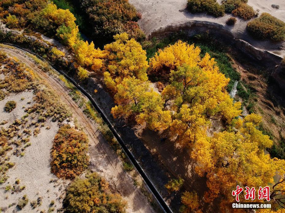 波多野结衣无码免费观看