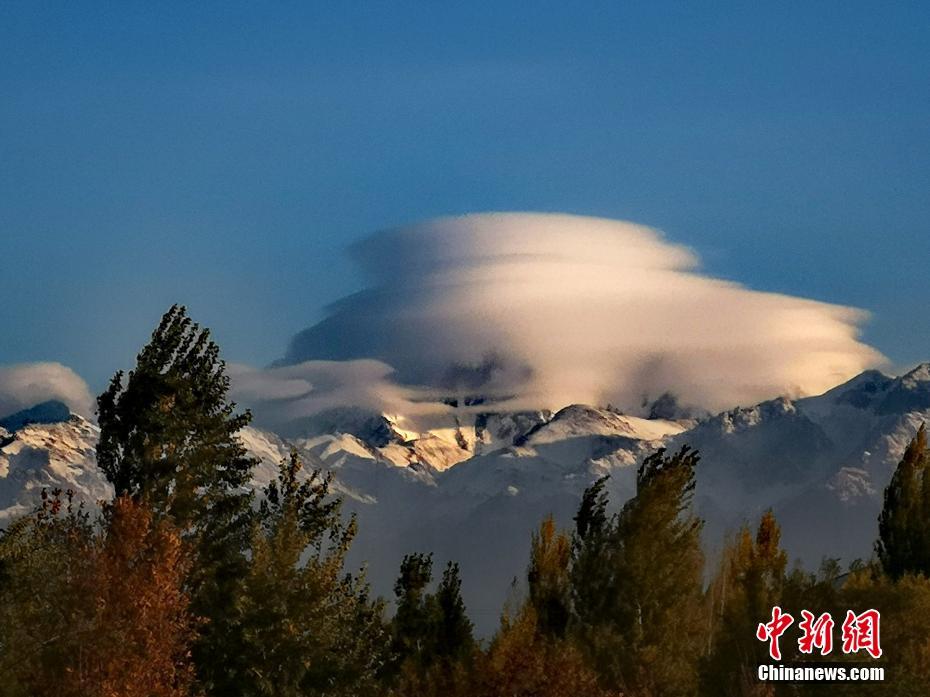 李丽珍黄色电影
