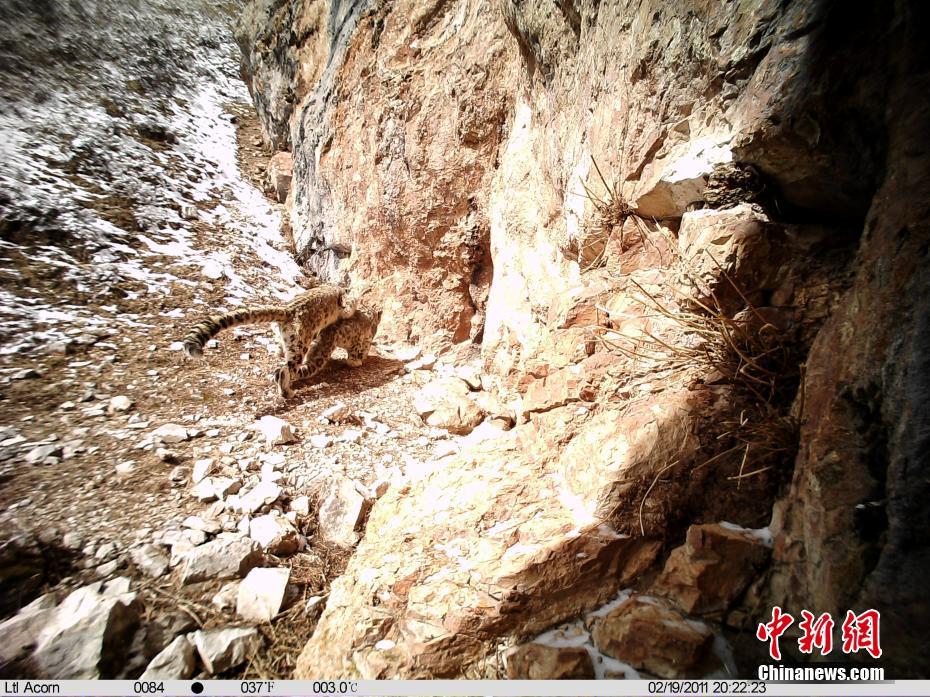 熟妇人妻中文字幕无码老熟妇