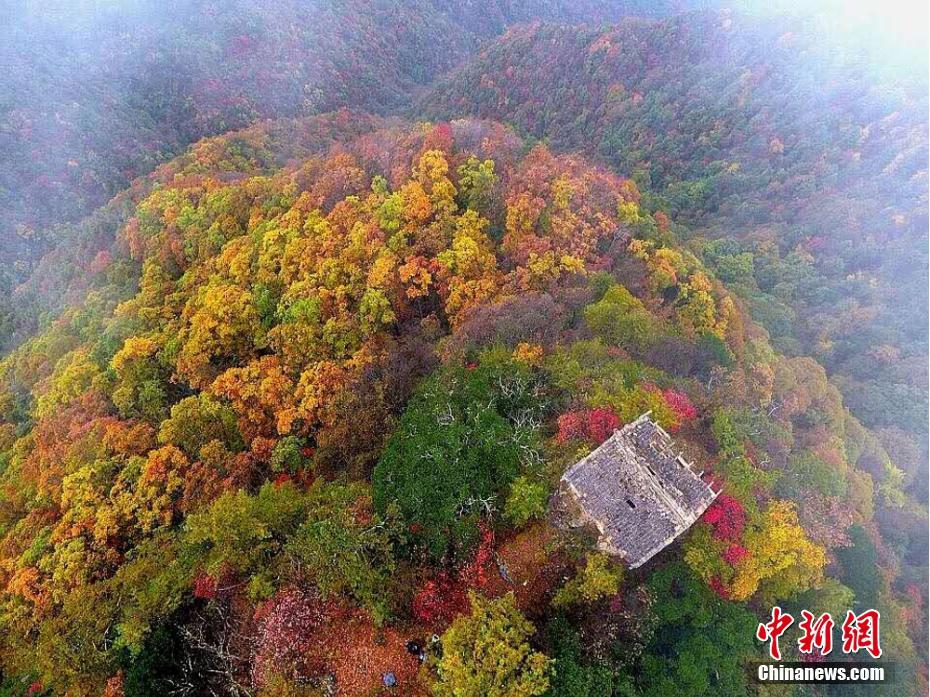 中壢汽車旅館