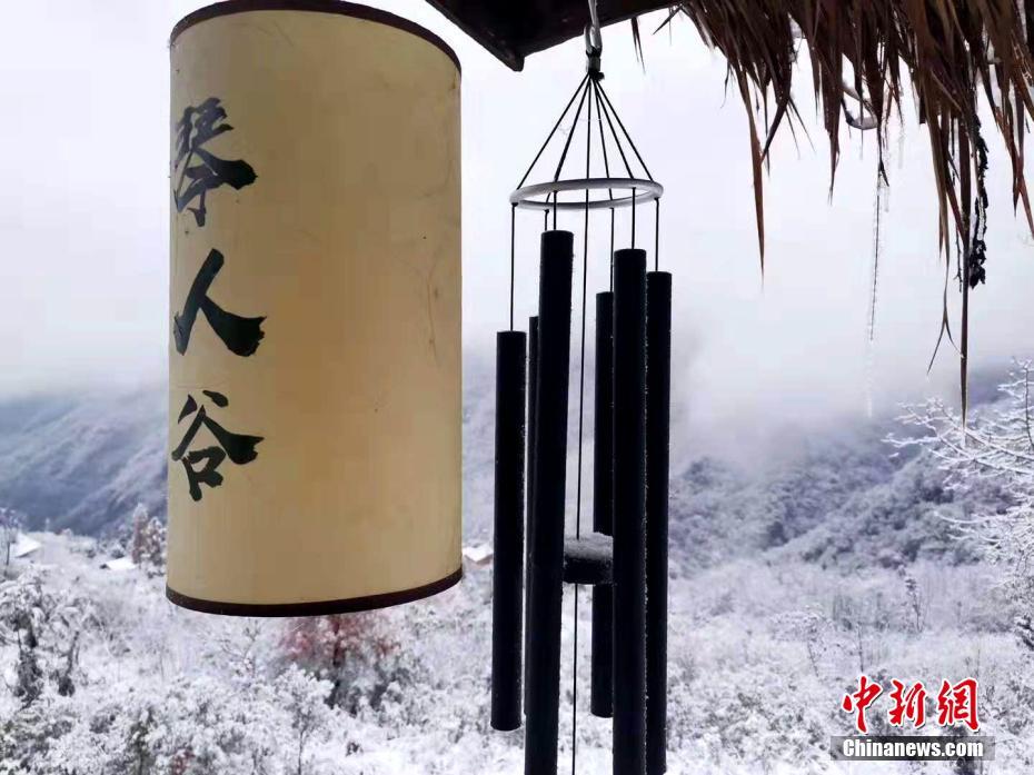 柠檬直播