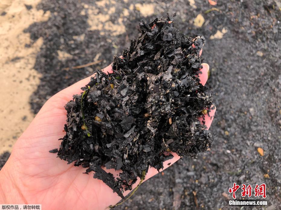 大型黄色网站
