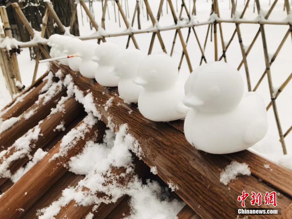 久久青草视频