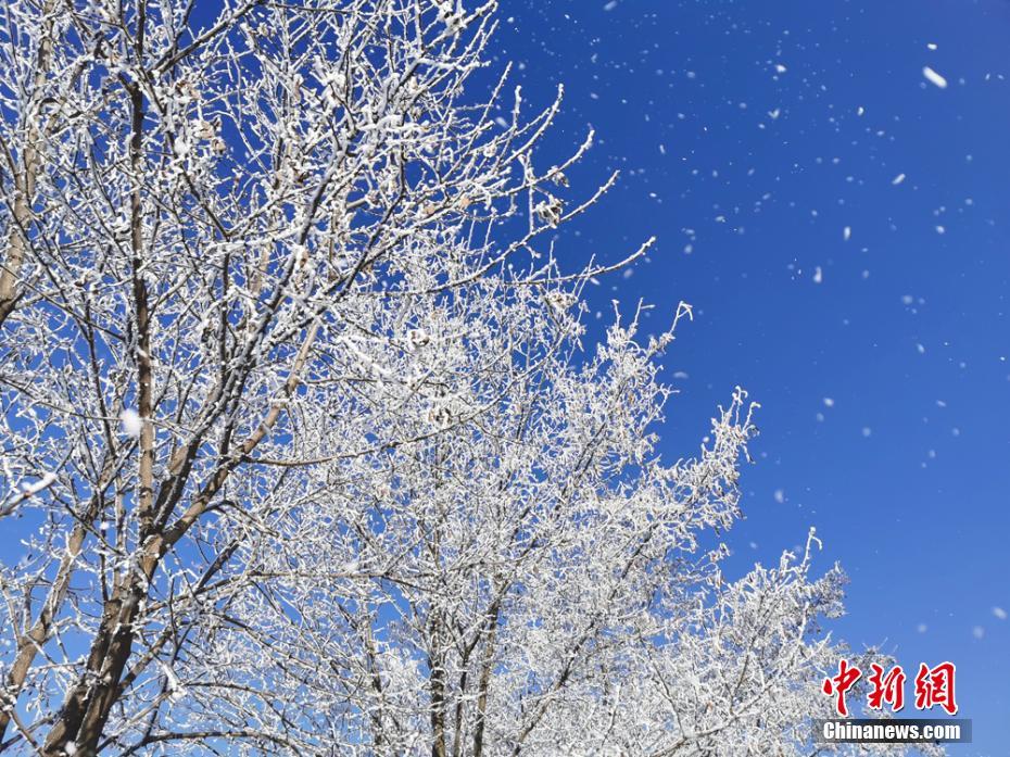 李诗英