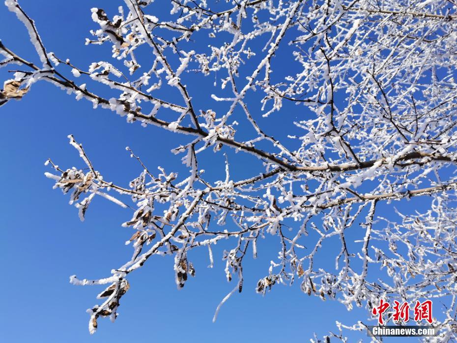 成人免费视频 国产免费麻豆