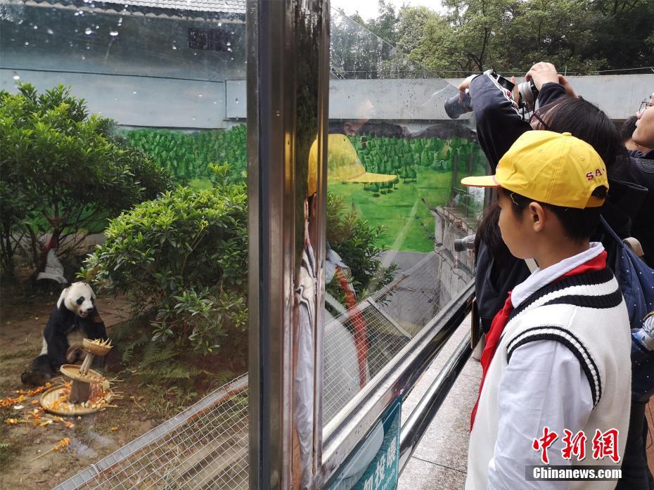 台灣大胸女明星