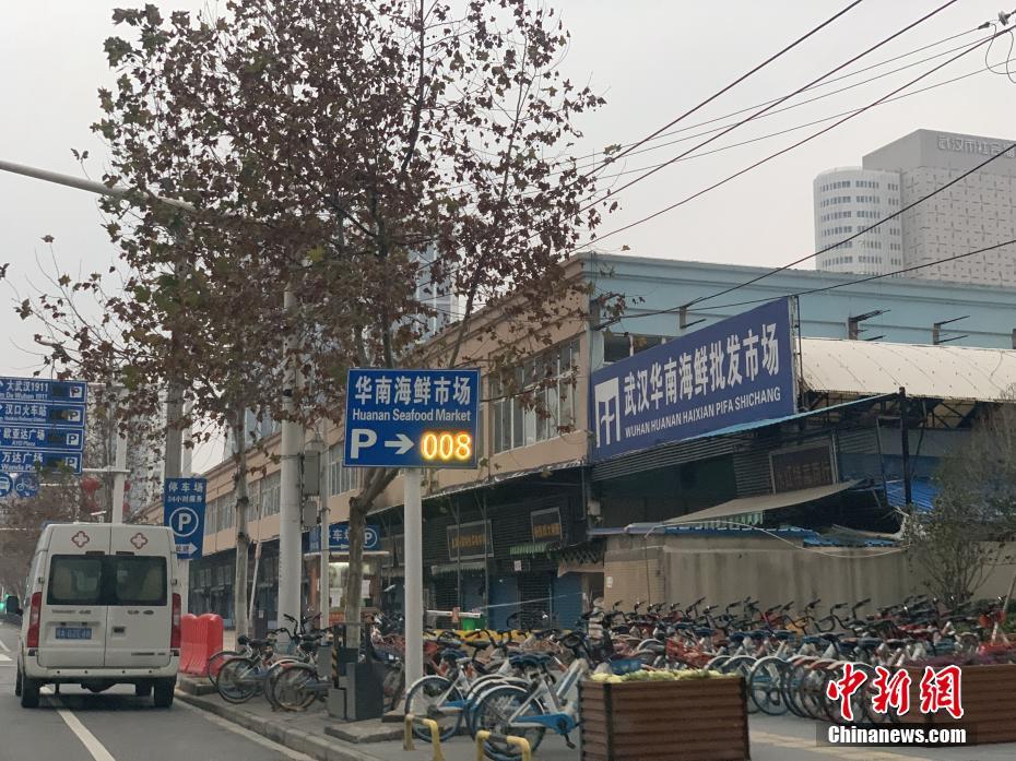 操荷兰美女大肥逼
