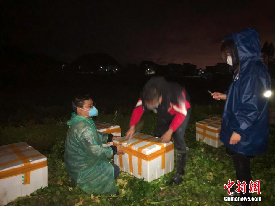 黑人巨大Xxxx高潮
