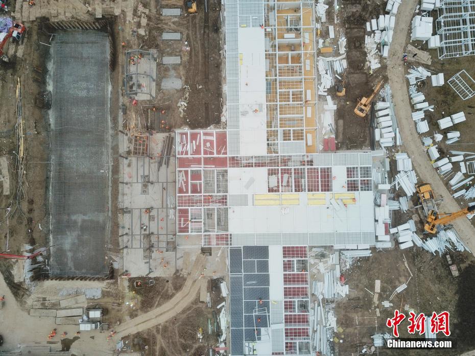 H黄色网站