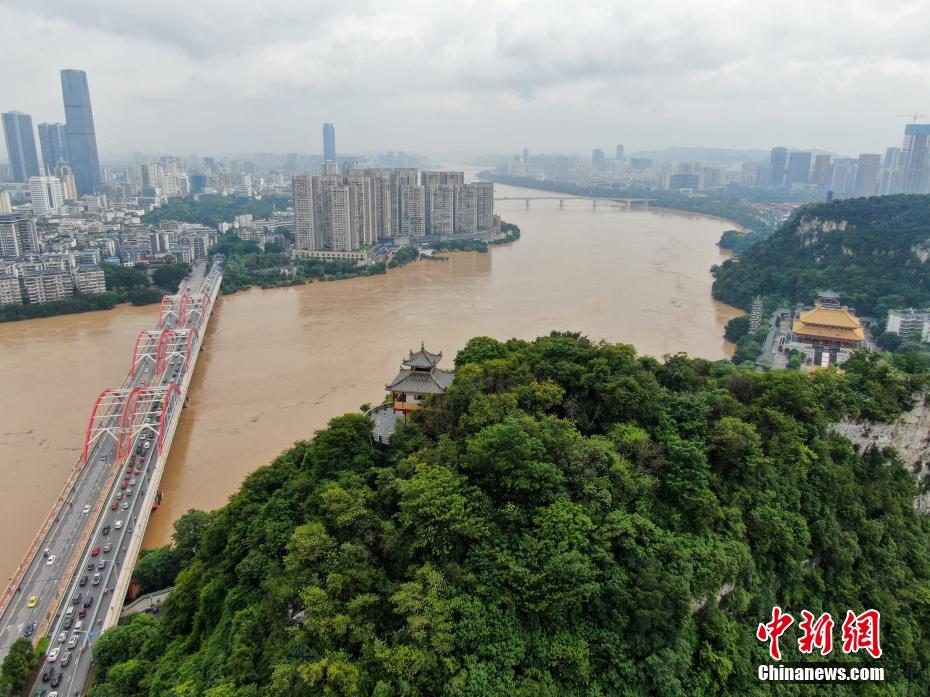 台灣二阿姨淑惠