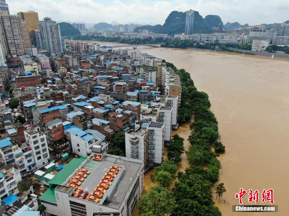 大雷擦狙狙网站免费