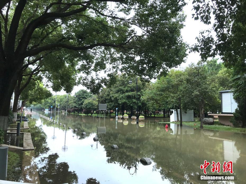 四虎最新网站