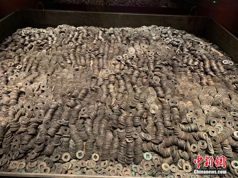 Xzl仙踪林国精产品