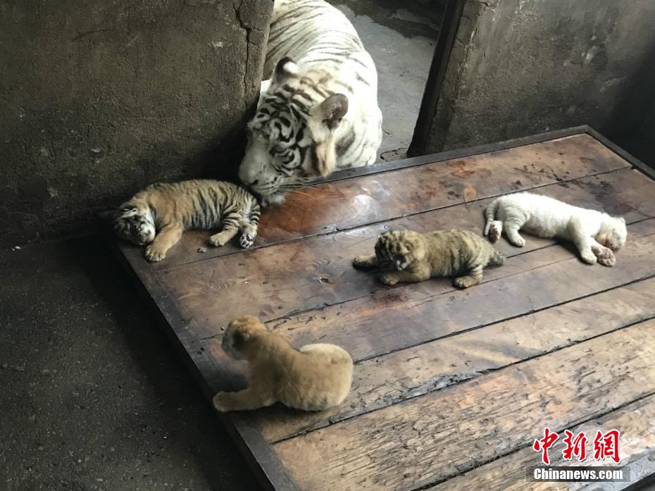 夸克看电影免费