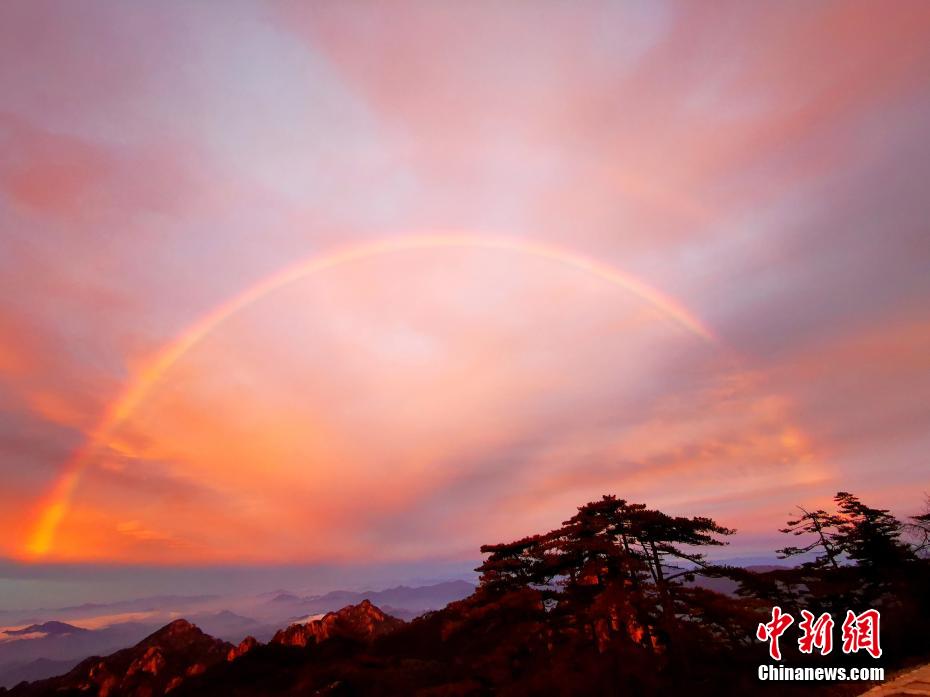 一级黄色网站夫妻性