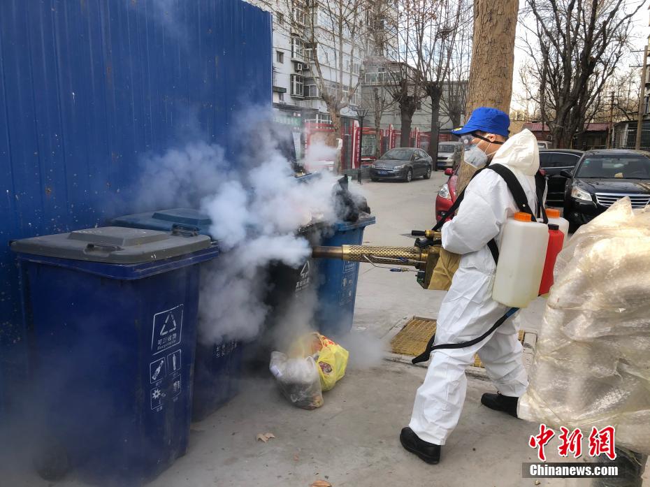 美女Av在线片