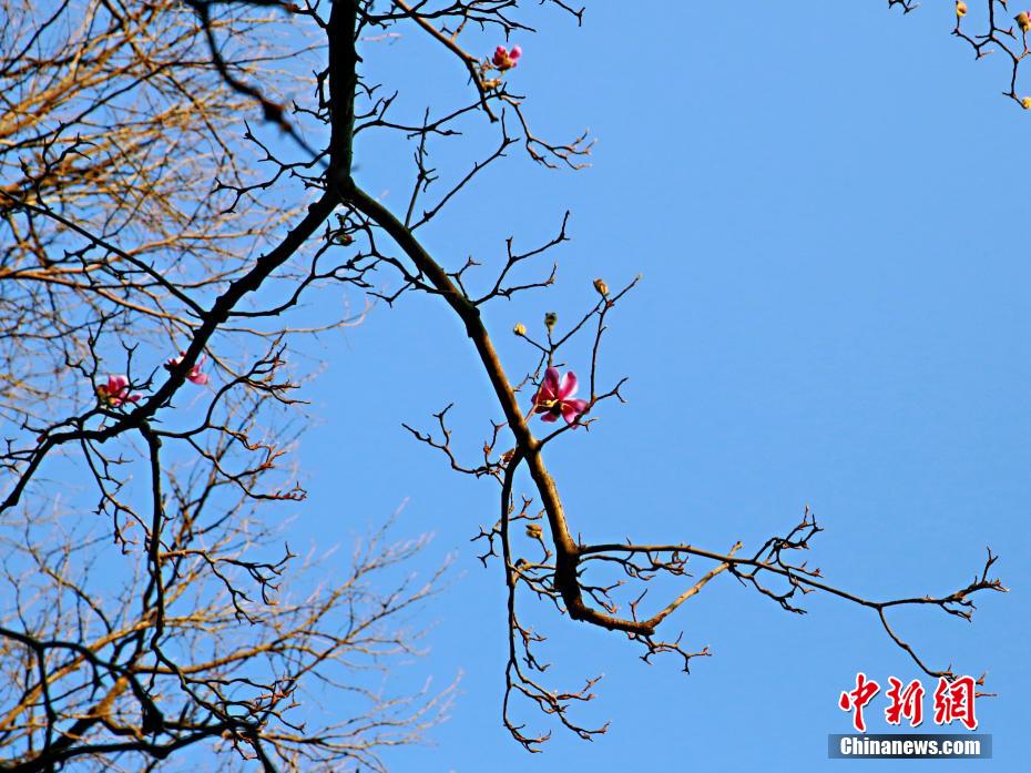 高清 成人 网