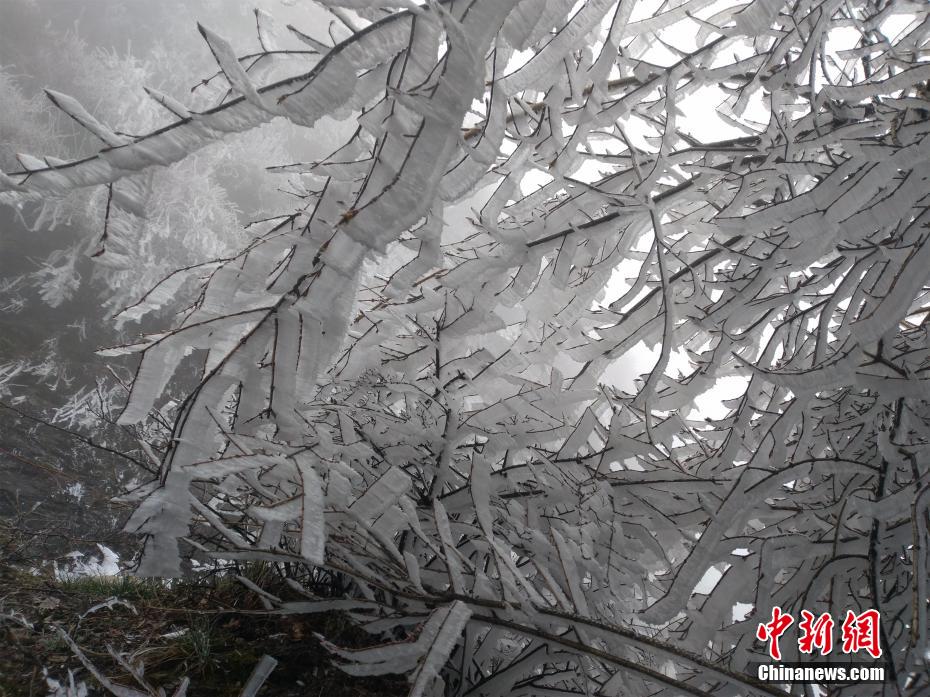 班长脱了奶盖 让我爽了一节课