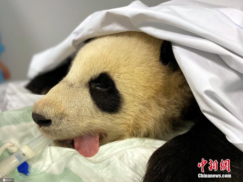亚洲 色情 网