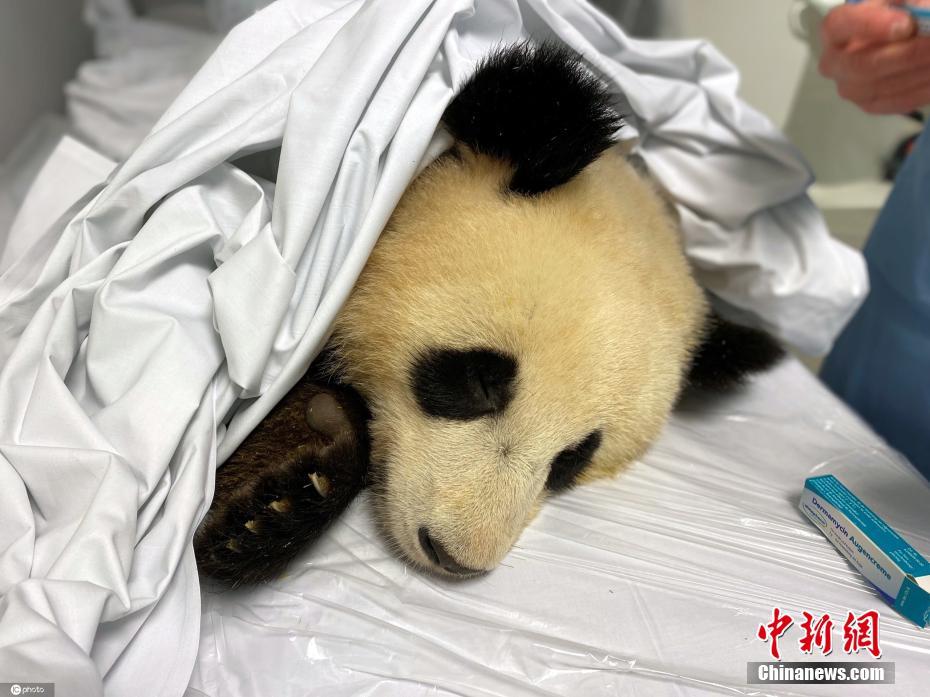 Chine性内射熟女
