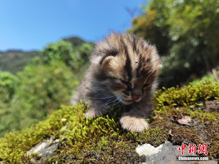 小 姐姐 性爱 影片