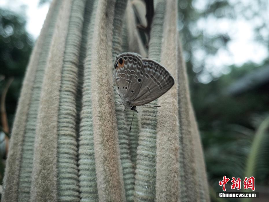 黄色网站第二部