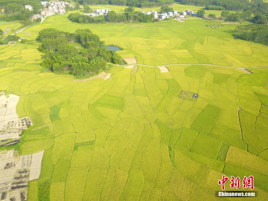 結束四連敗！女排聯賽韓國站：中國女排3-1韓國女排，下場戰美國