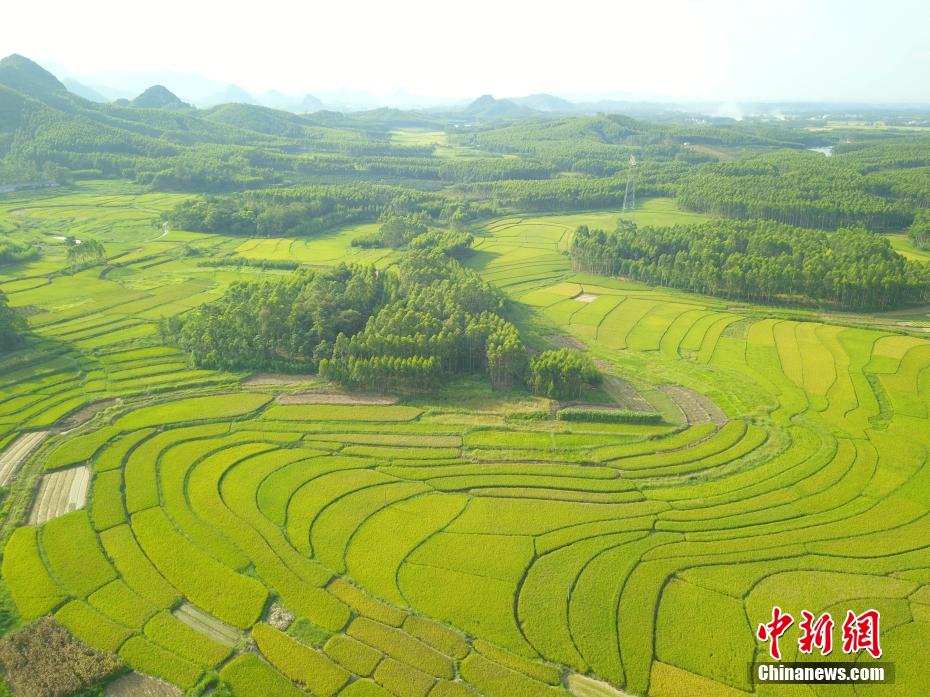 厕沟全景美女厕沟精品