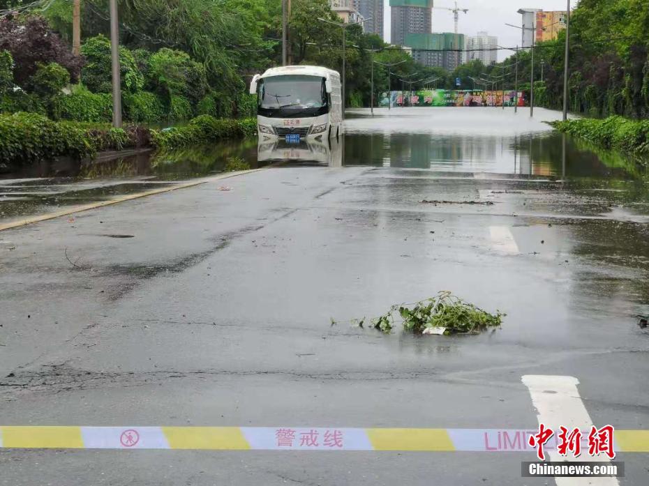 严雨霏 张婉莹 罗智莹