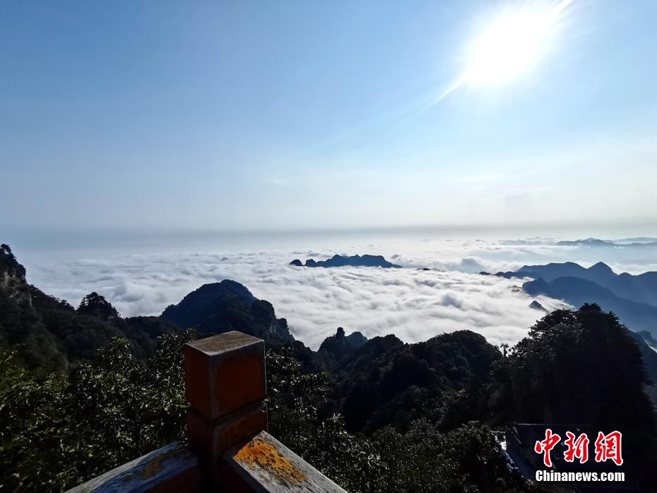干逼软件