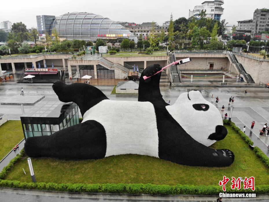 污污污的网站