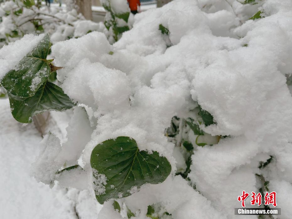 局长在车里含我奶头好爽视频