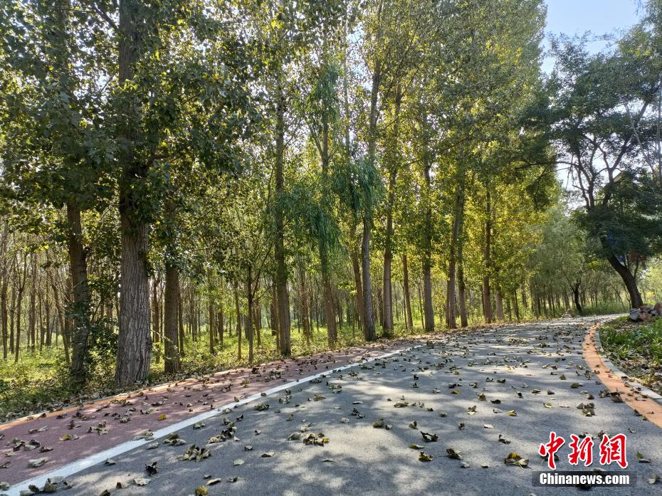 性爱专区麻豆