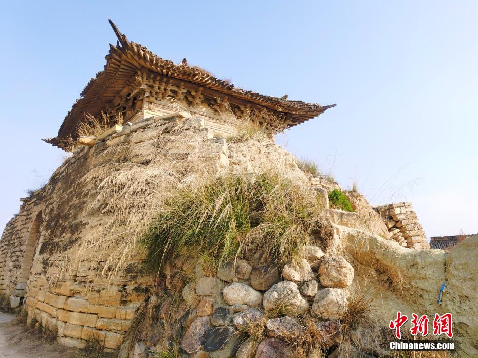 大渔直播免费直播下载