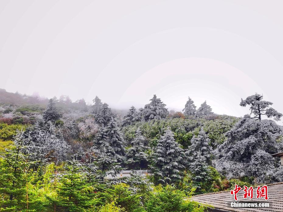 中文 成人 电影