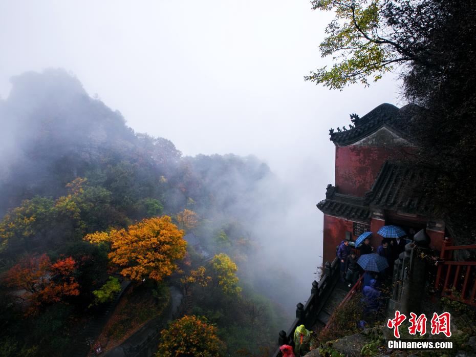 俄日韩女优一级不卡网