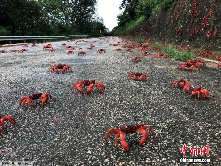 淫乱欧美网站