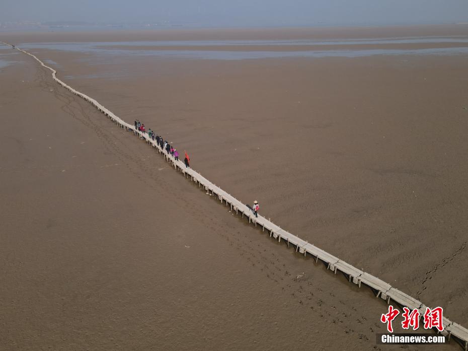 杨幂被调教成肉奴1～5