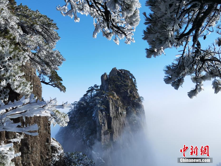 最新欧美三级片