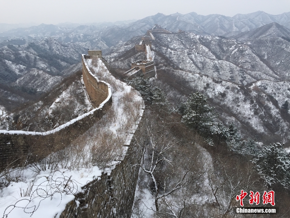 终结 者 成人 版