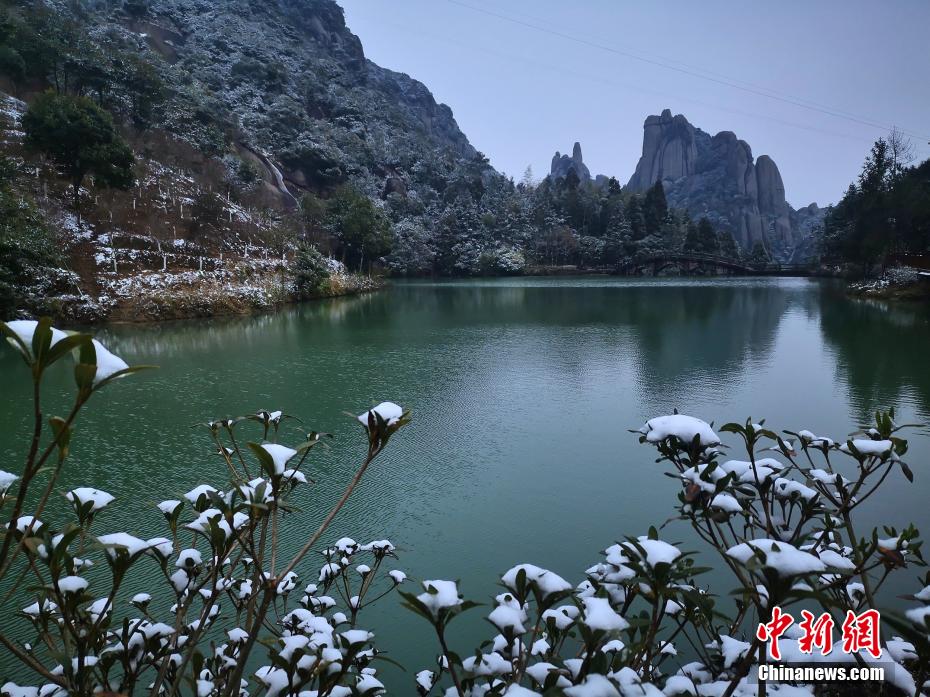 球球露奶