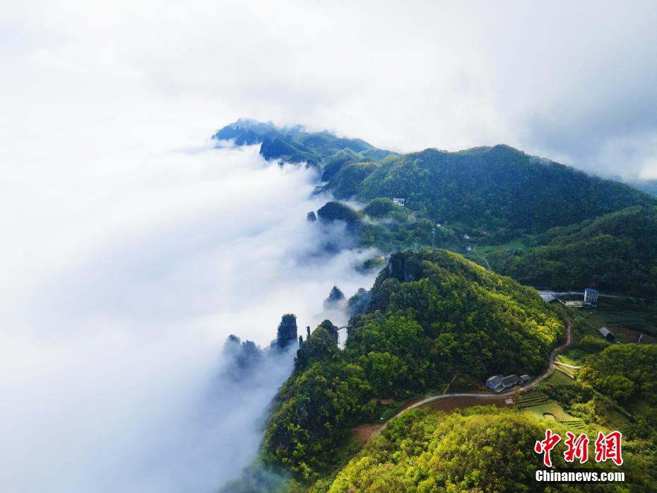 黄色三级片，黑人大长吊